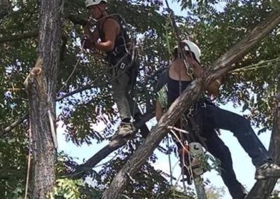 Team Work Makes The Dream Work