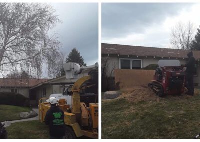 Witness The Transformation Before & After