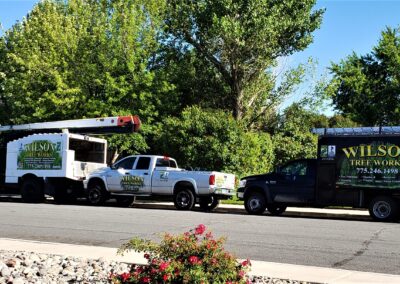 Our Dedicated Team is Always On The Move