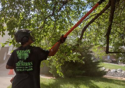 Every Cut Counts – Tree Cutting